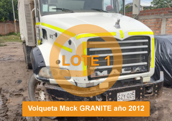 PUEDE OFERTAR - LOTE 1 VOLQUETA DOBLETROQUE MACK GRANITE 2006 - Imagen 12