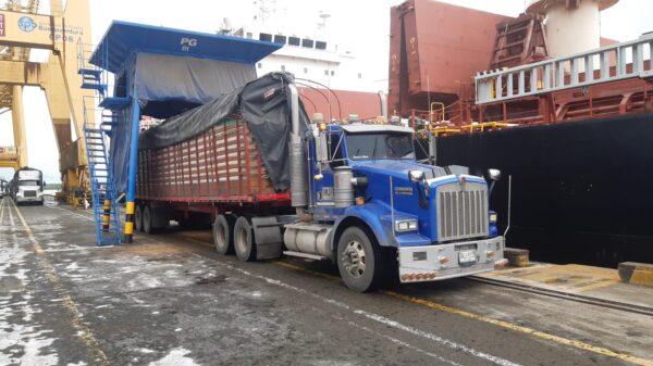 Tractomula Kenworth Cabezote