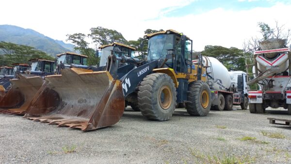Lote 2 Cargador Frontal